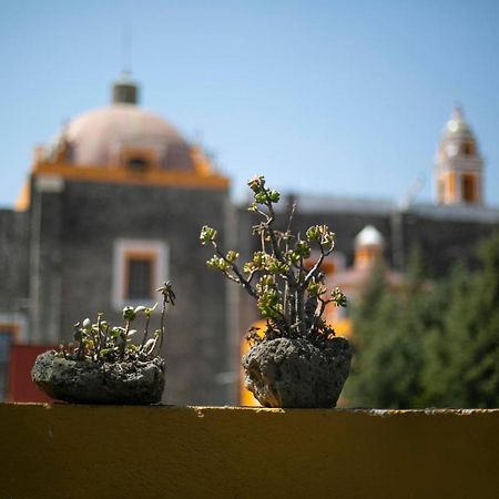 Majikal B&B - La Dona Cholula Bagian luar foto